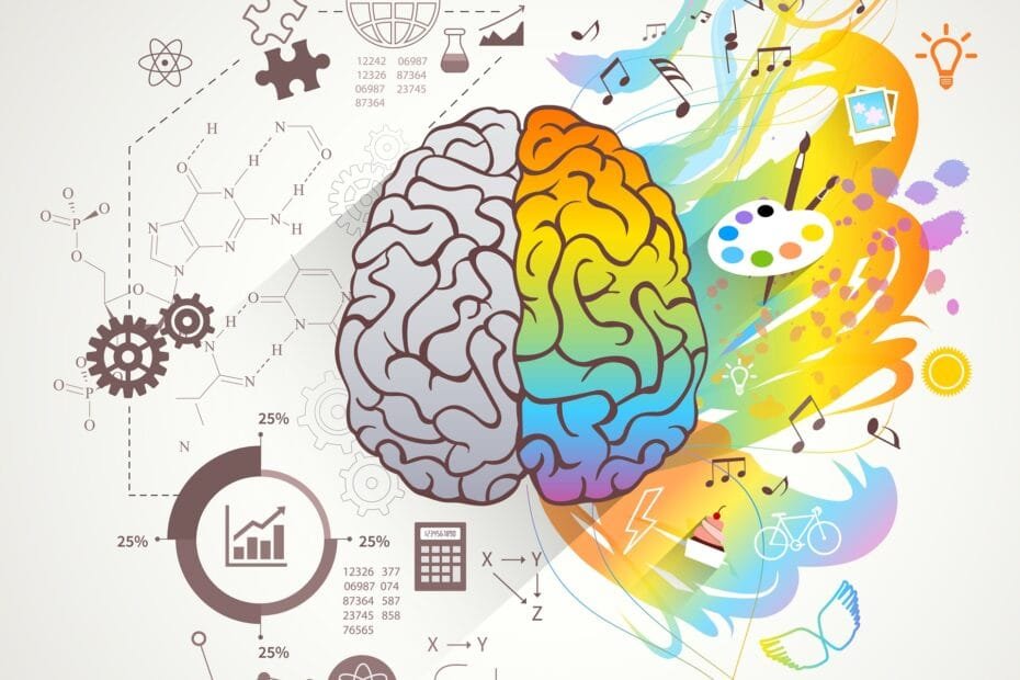 intelligenza emotiva